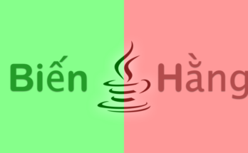 sự khác nhau giữa hằng và biến 1 bien-va-hang