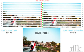 Hệ PAL và NTSC là gì? 1 interlaced scan 021