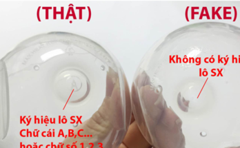 bình sữa avent giả