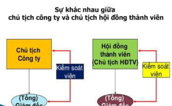 Khác nhau giữa Chủ tịch và Tổng giám đốc ai lớn hơn? 1 chủ tịch và tổng giám đốc