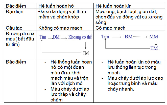 he tuan hoan(2) So sánh hệ tuần hoàn hở và hệ tuần hoàn kín